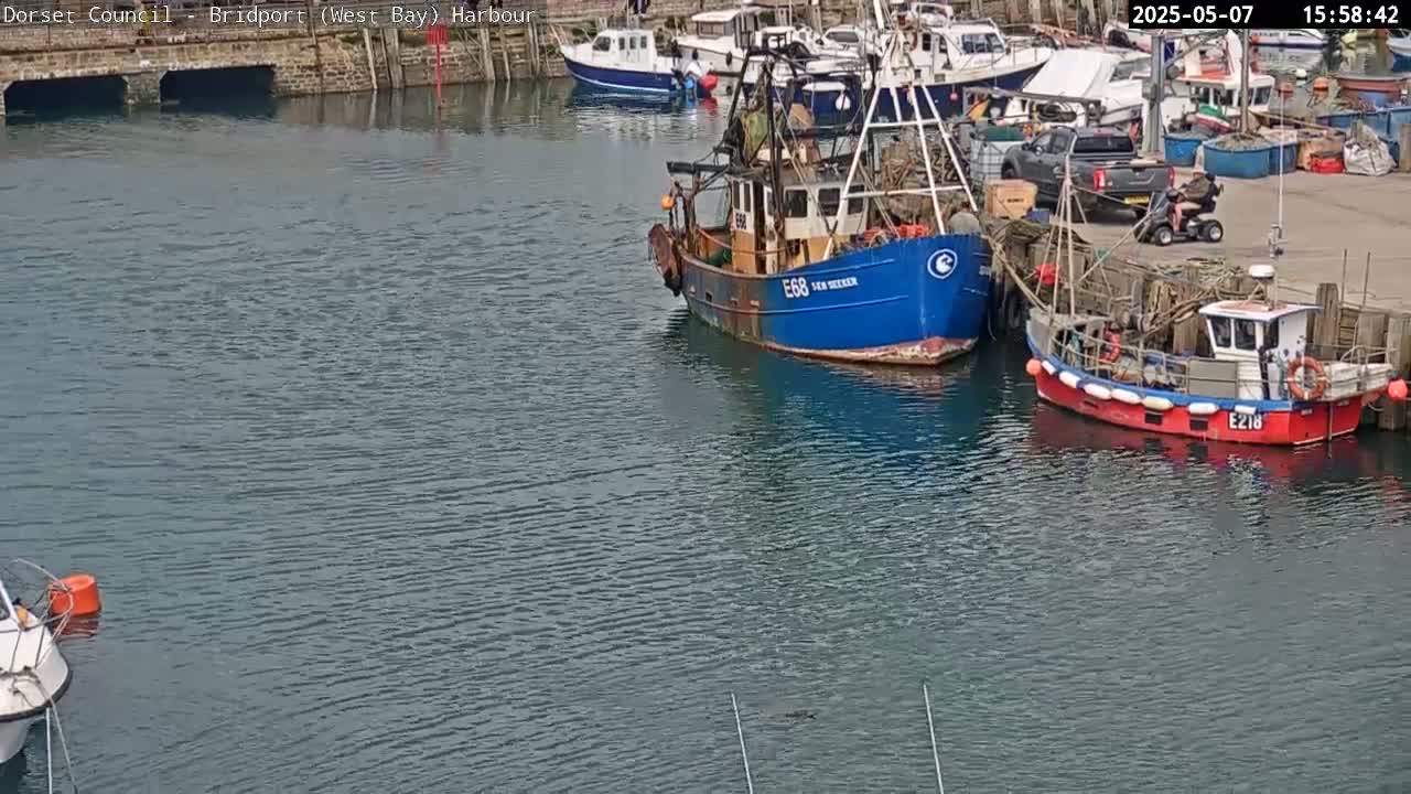 Several fishing boats are moored in a calm harbor.