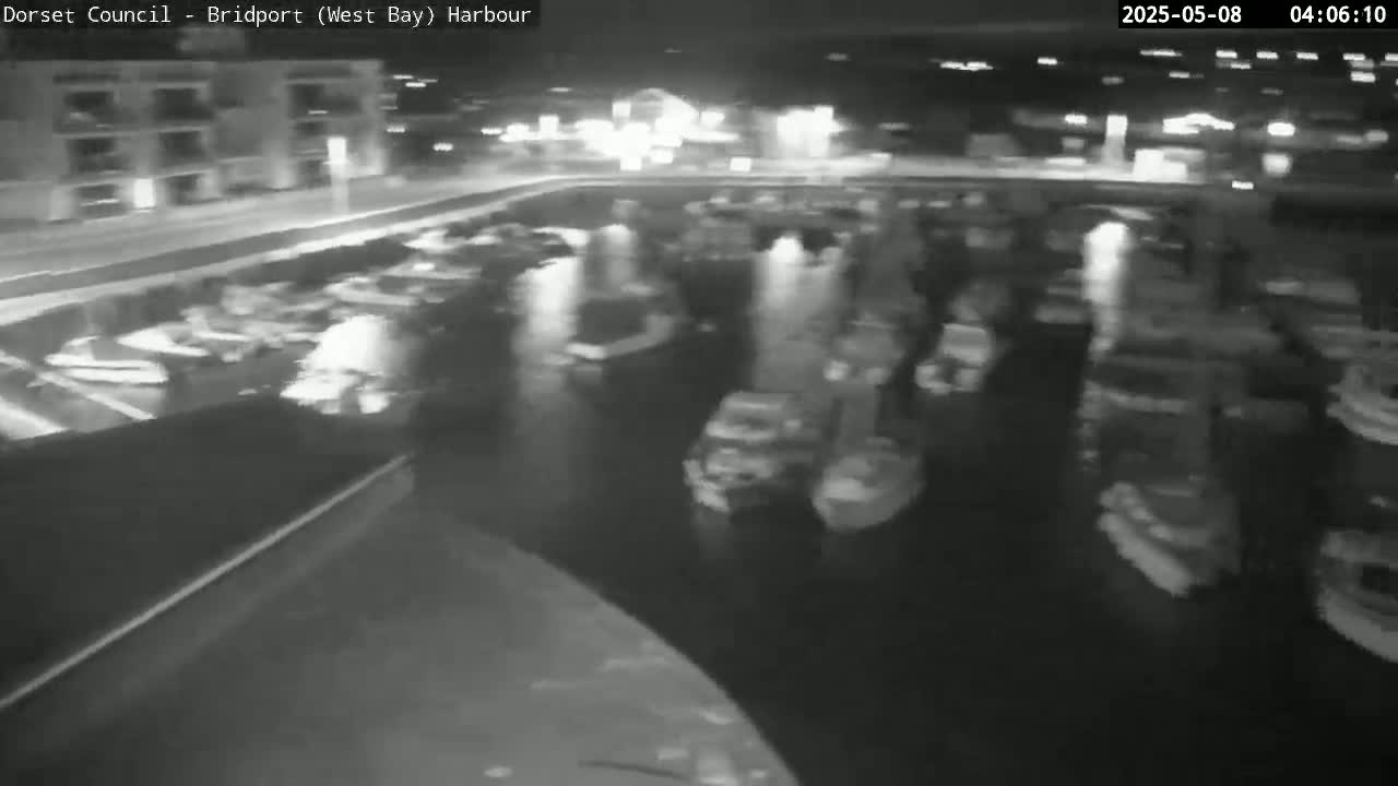 A nighttime, low-light view shows a harbor filled with numerous boats moored closely together.