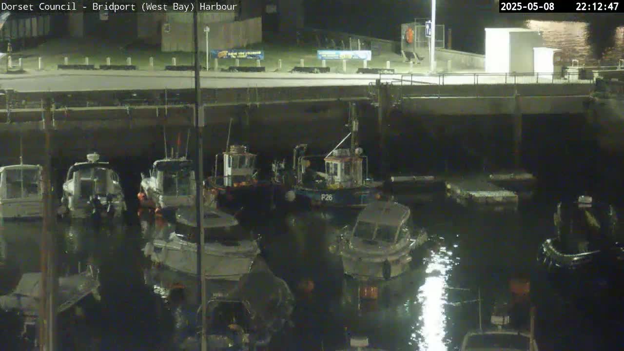 Several boats are moored in a harbor at night under a clear, dark sky.