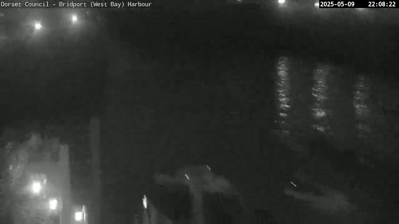 A nighttime, low-light view shows a dark, possibly watery area with faint light reflections and indistinct shapes in the distance.