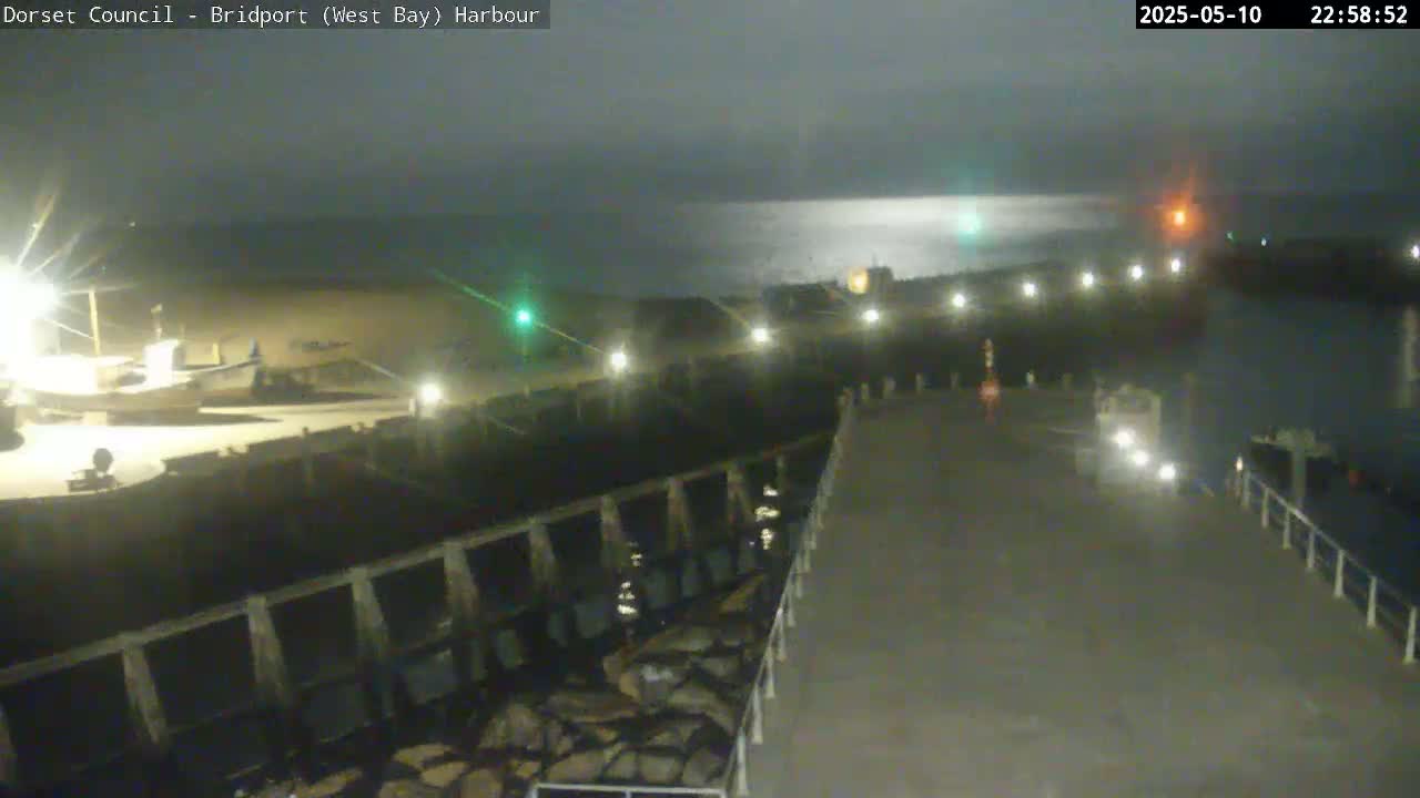 A nighttime harbor scene shows a pier extending into dark water, with boats docked nearby under dim lighting.