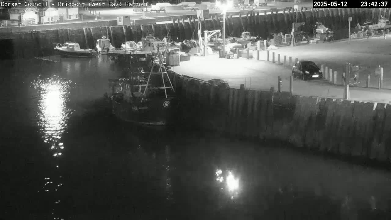 A nighttime harbor scene shows a fishing boat docked near other vessels and a car parked on a nearby embankment under a dark, clear sky.