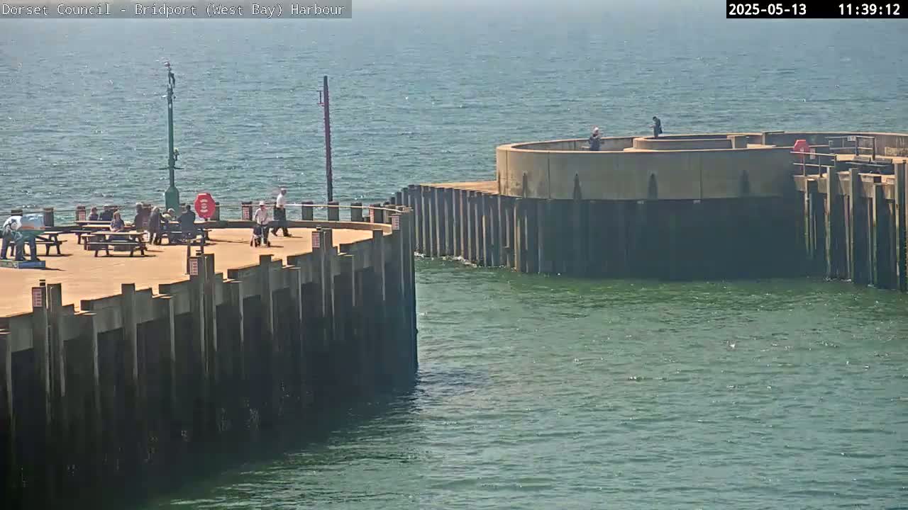 A harbor pier with several people on it, overlooking calm green water under a hazy sky.
