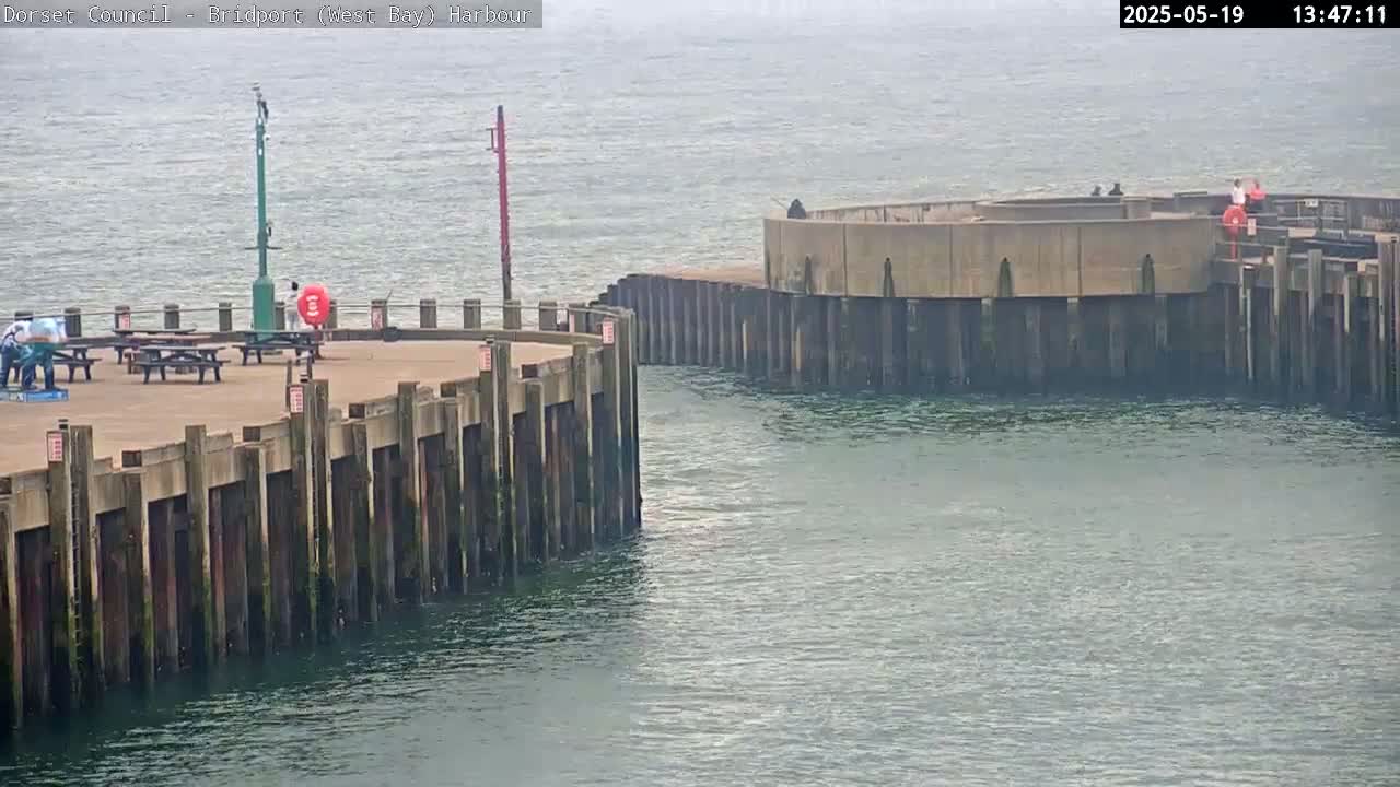 A harbor with a foggy atmosphere features a concrete structure and wooden pilings, along with a few people and picnic tables on a paved area.