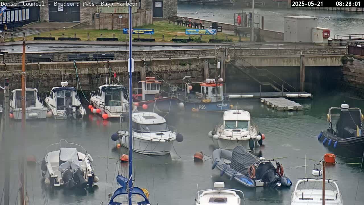 Numerous boats are moored in a harbor on an overcast day.