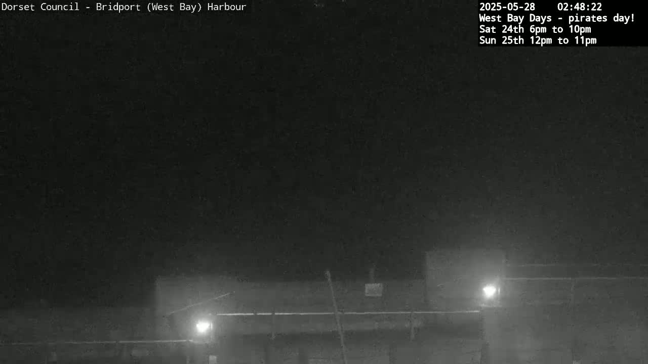 A nighttime, low-light view of a harbor area with a few lights visible.