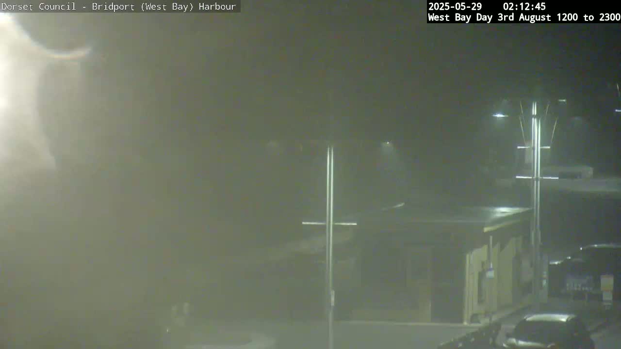 A foggy night scene shows a harbor area with buildings and streetlights, and a few cars are partially visible in the distance.