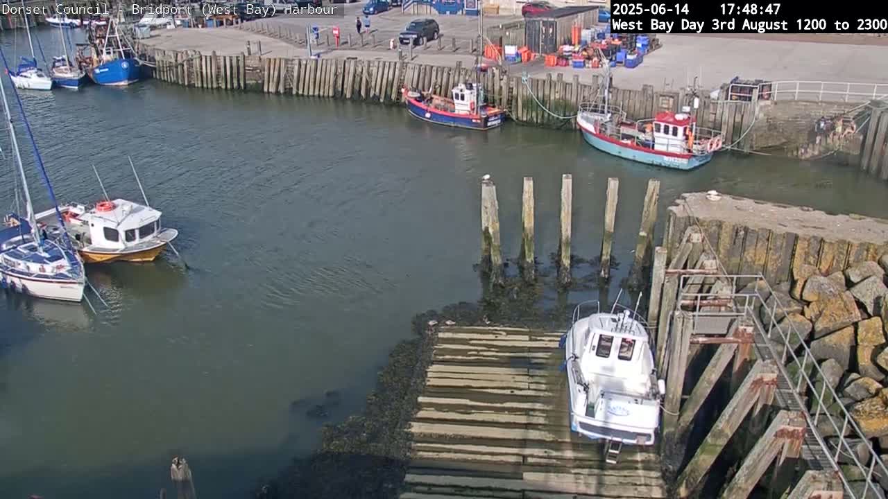 Several small boats are moored at a harbor on a calm, sunny day.