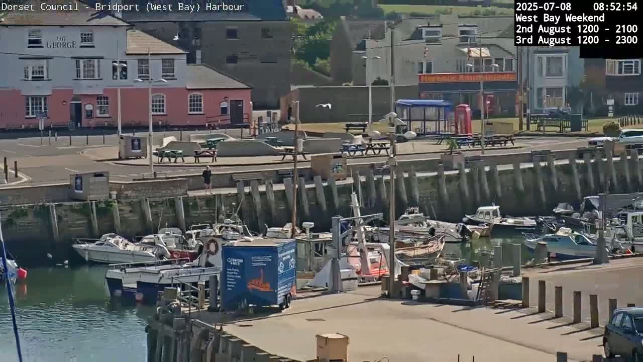 A harbor filled with docked boats on a sunny day, near a pink building and other buildings along a waterfront.
