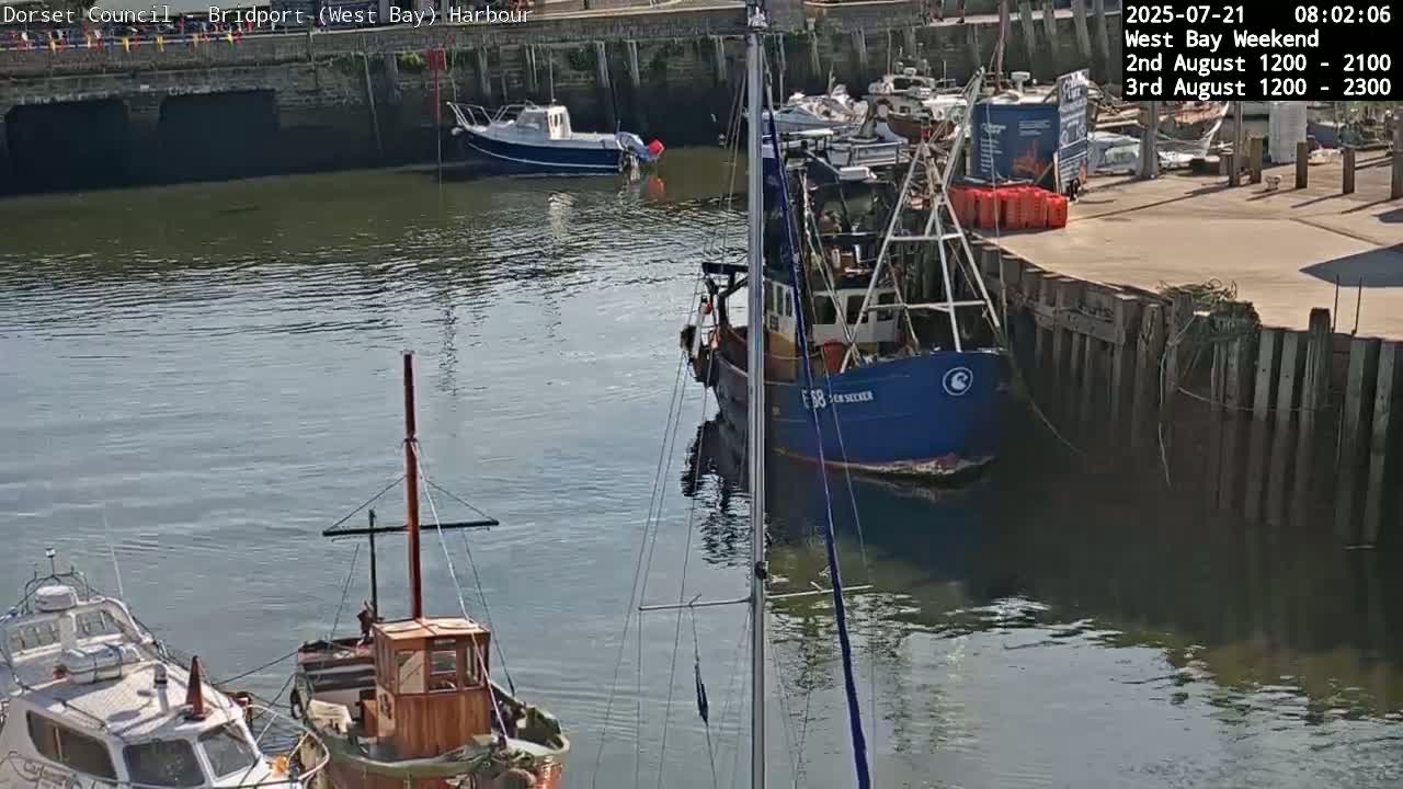 Several boats are moored in a harbor on a sunny day.