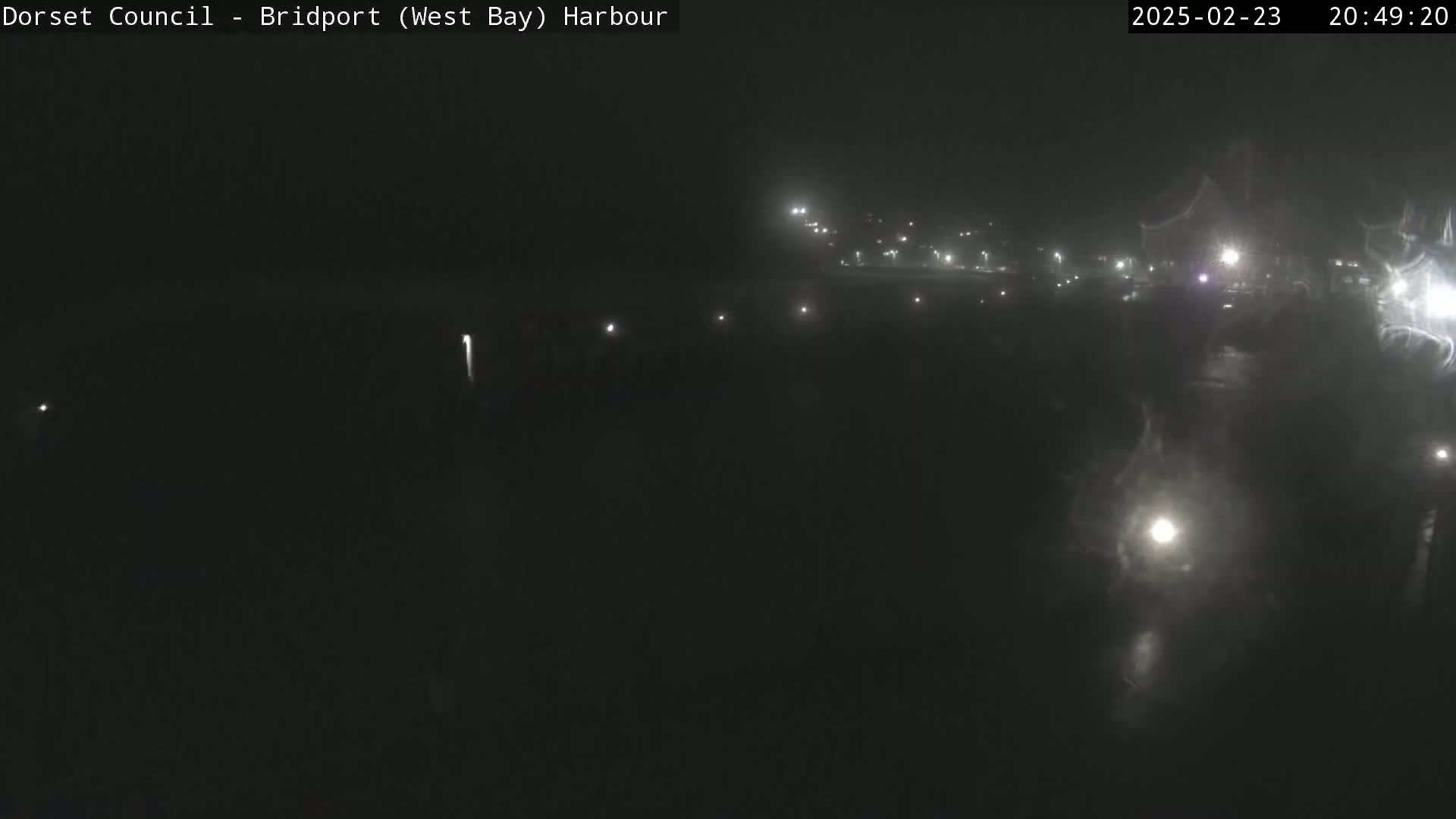 A nighttime, foggy view of a harbor with scattered lights visible in the distance.