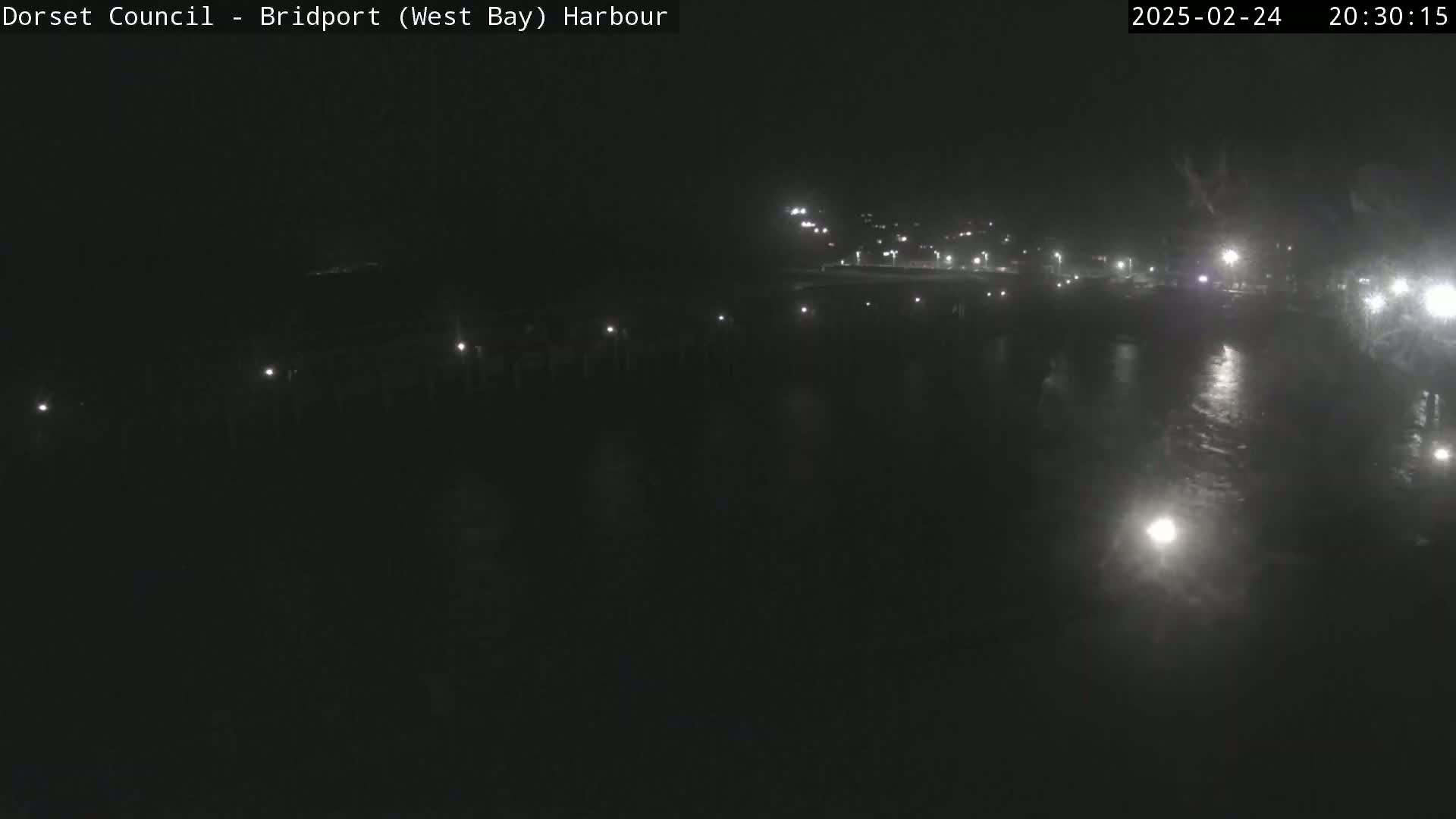 A nighttime long shot of a dark harbor with faintly visible lights along a shoreline and on the water.