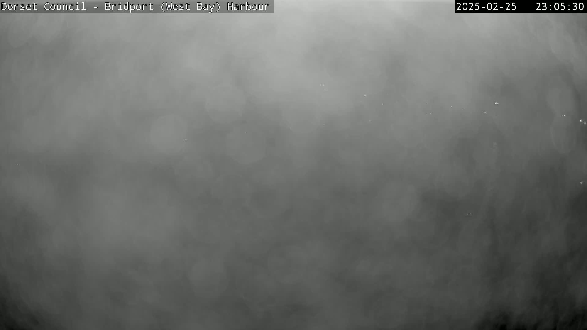 A very foggy or misty scene is visible, obscuring most details.
