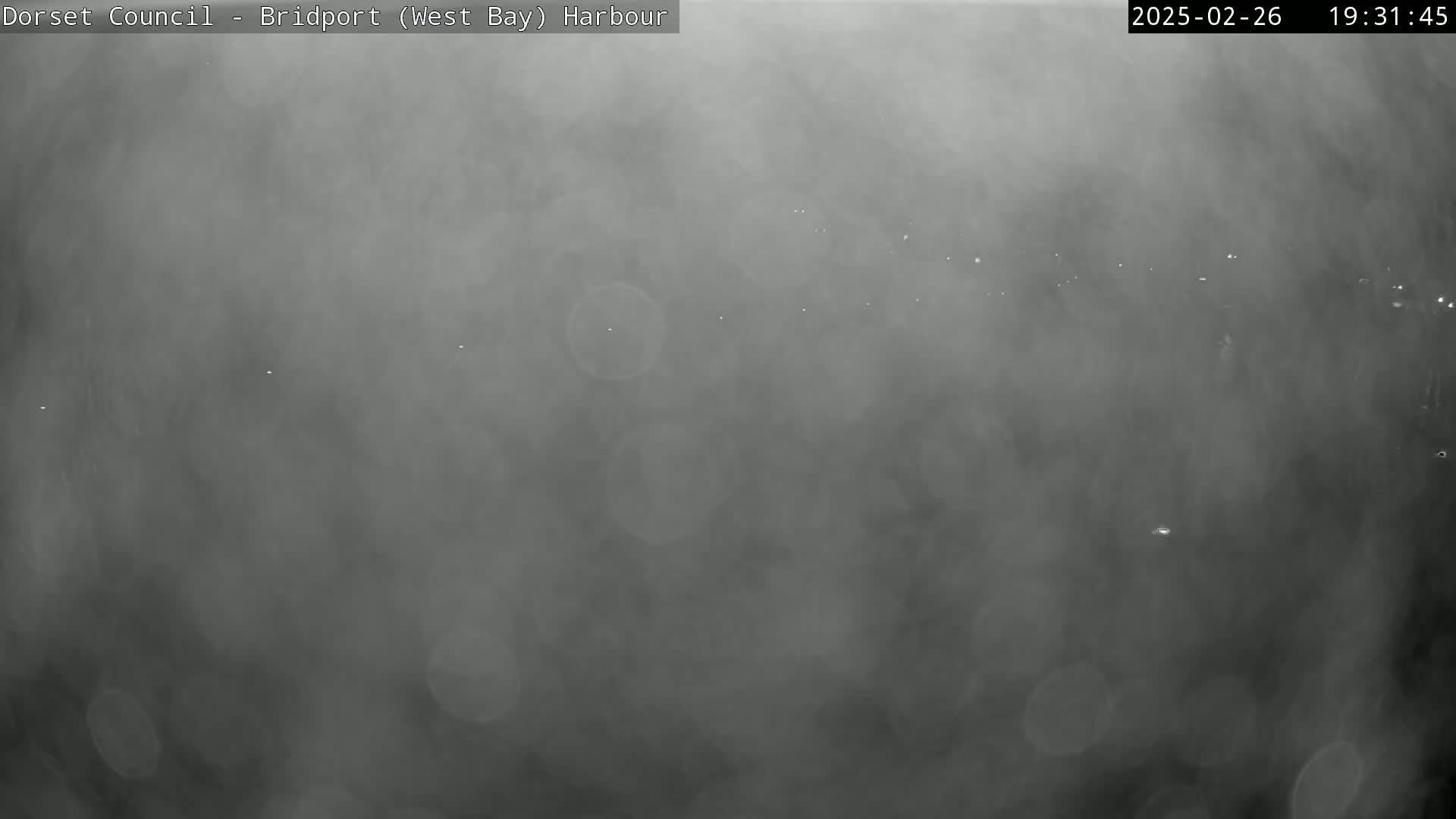 A hazy, dark gray scene shows indistinct lights in the distance under a foggy or misty sky at night.