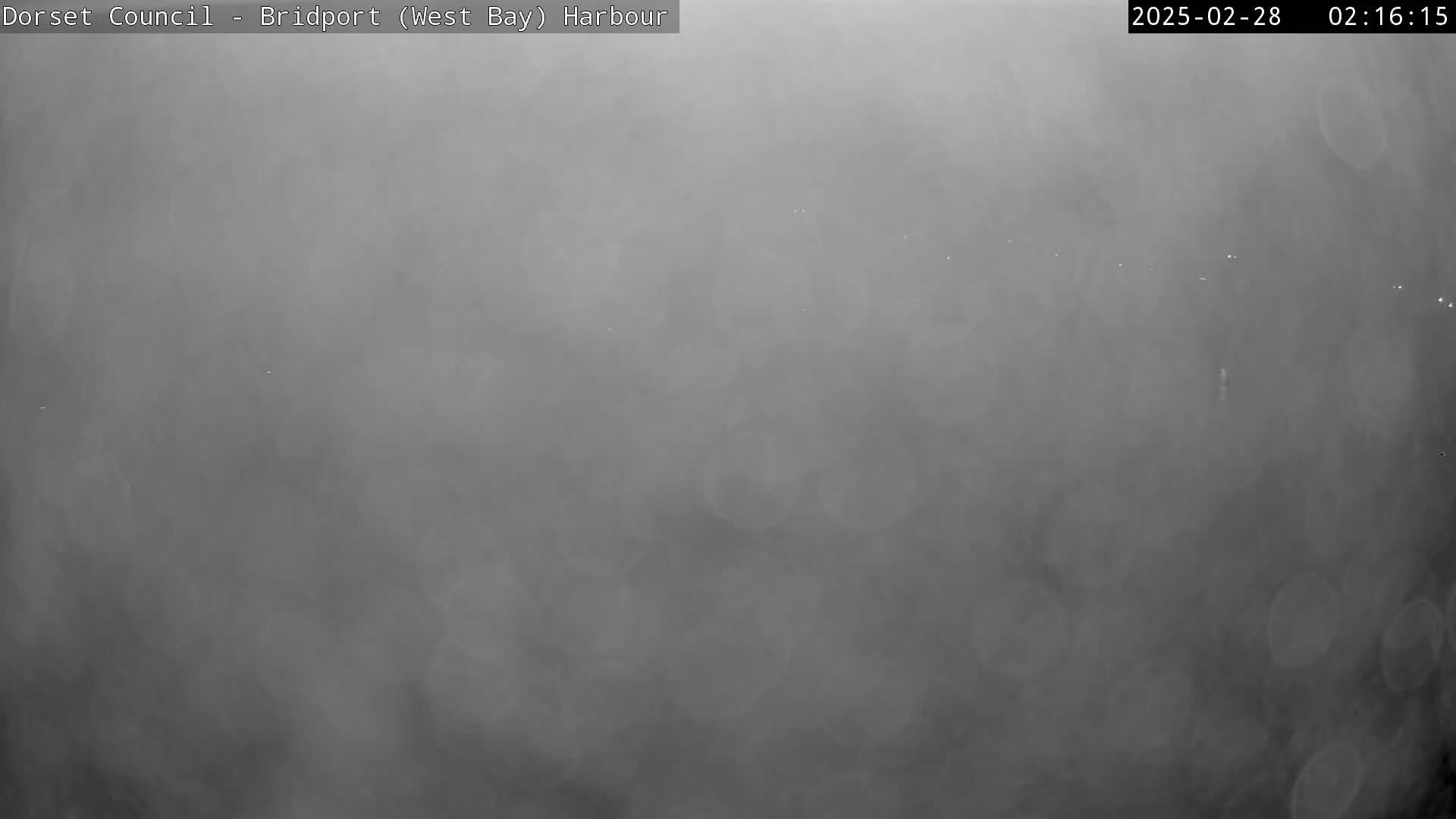 A hazy, gray scene is visible, possibly due to fog or mist.