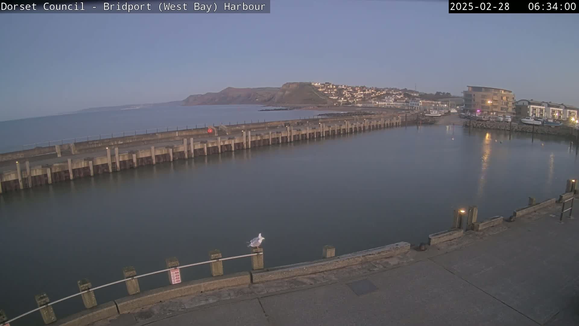 A harbor at dawn with calm water, a long pier, a seagull perched on a railing, and a town and hills in the background.
