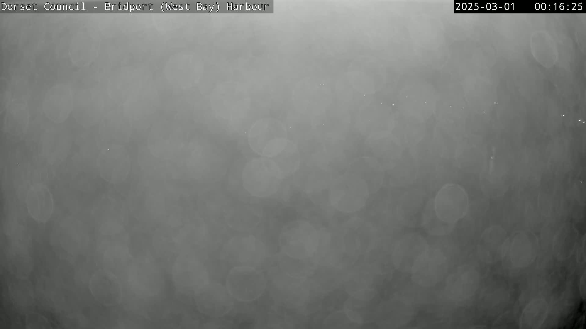 A hazy, dark gray nighttime scene shows indistinct lights in the distance.