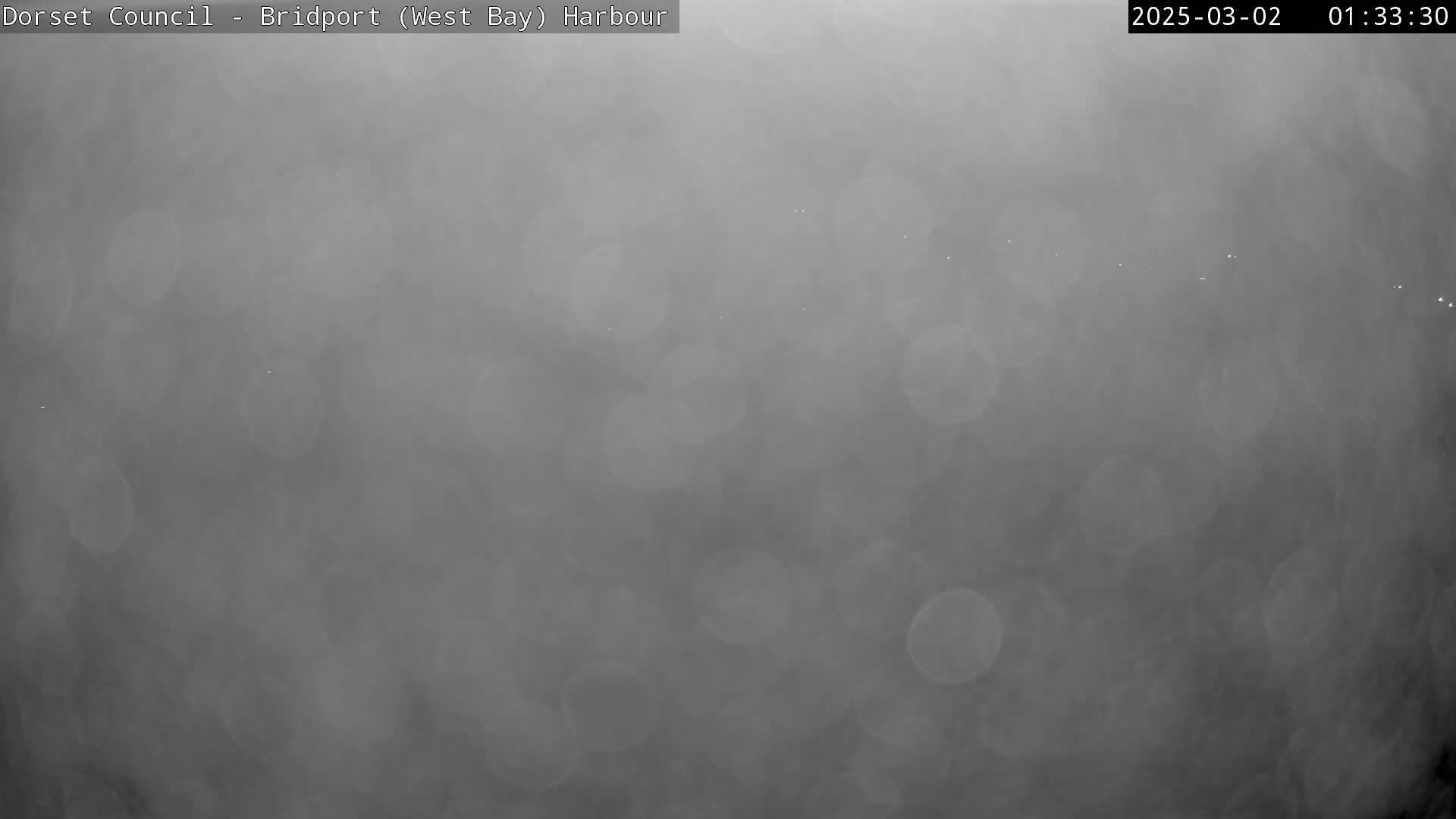 A very foggy or misty scene is shown, with a few distant lights barely visible through the haze.