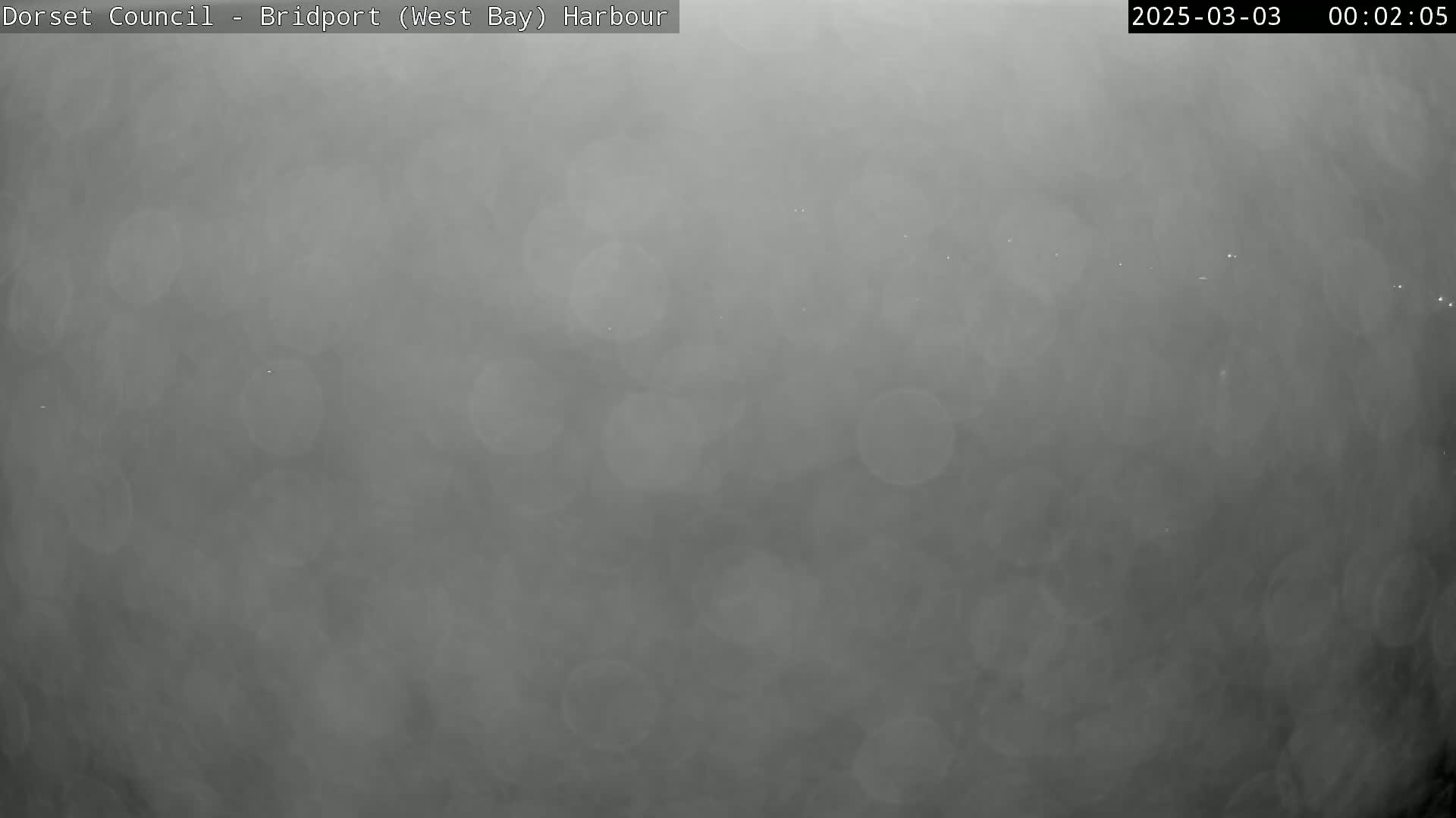A blurry, dark gray image shows a foggy or hazy night scene.