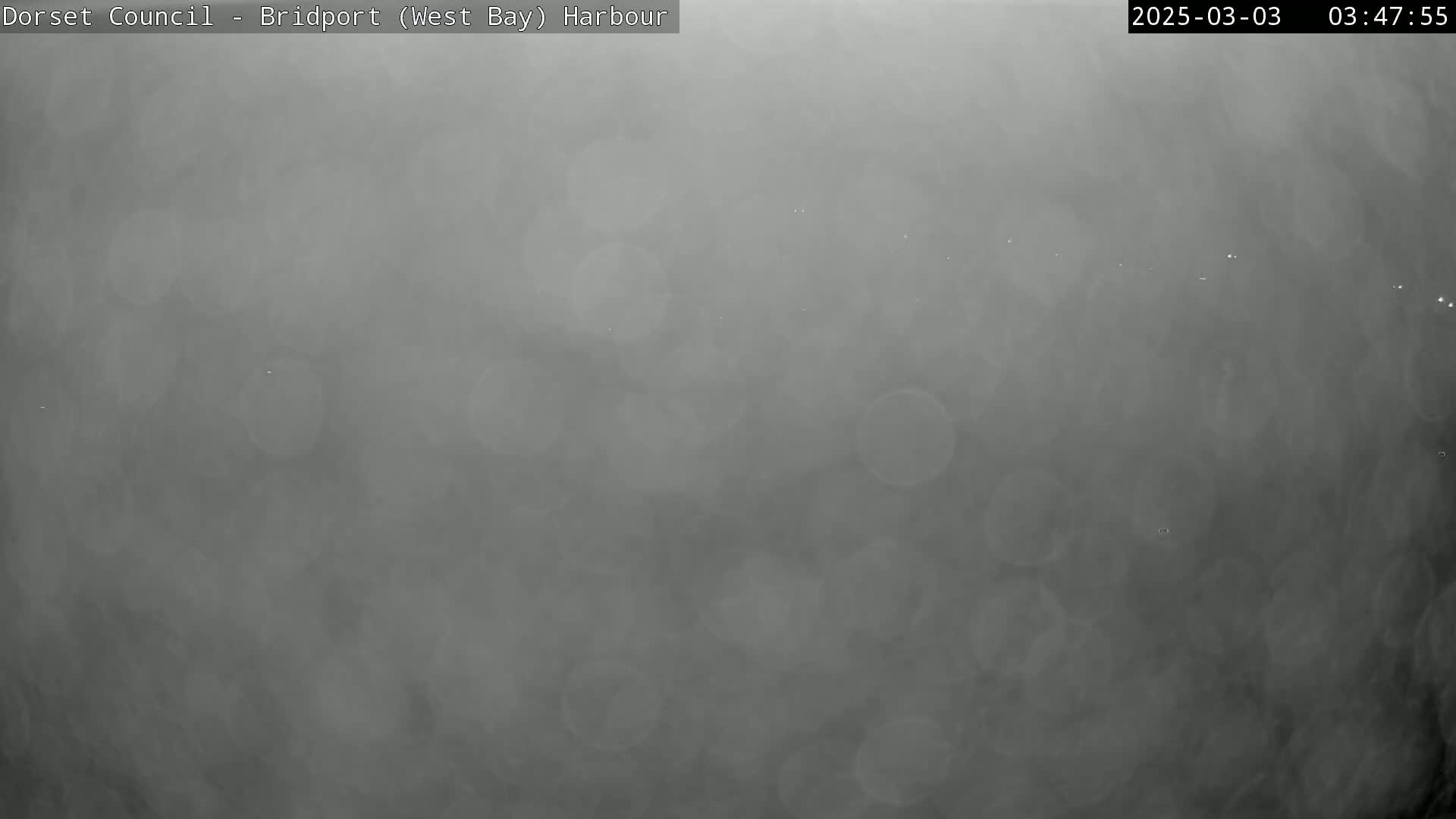 A very foggy or hazy, gray scene is visible.