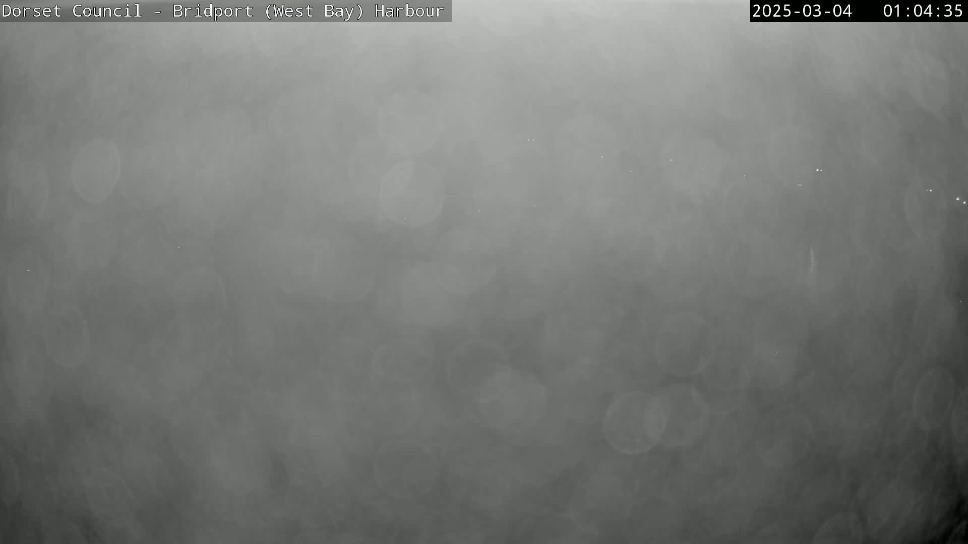 A foggy harbor is visible at night, with a few faint lights barely perceptible in the distance.