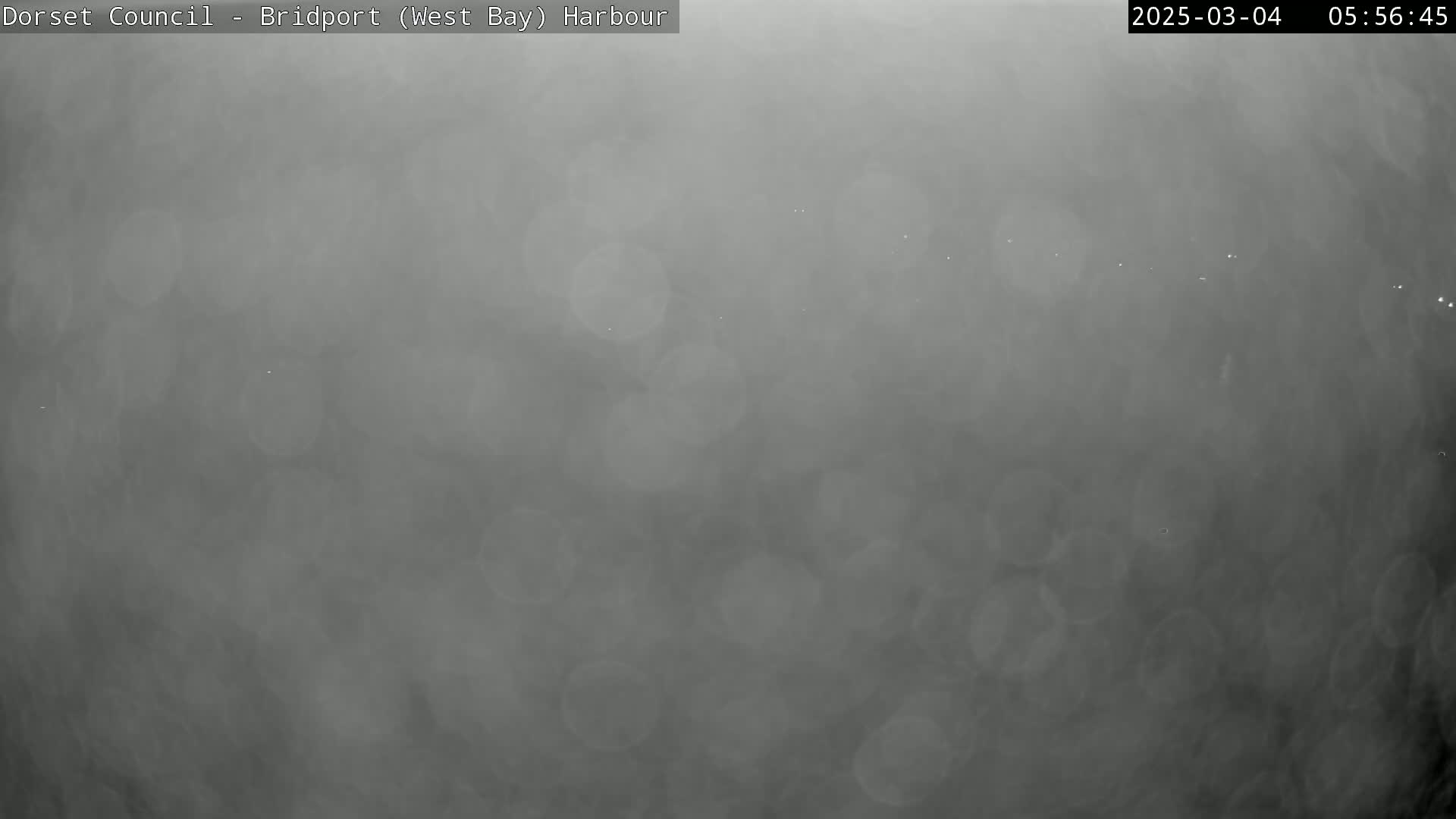 A hazy, gray scene is visible, likely due to fog or low-lying clouds.