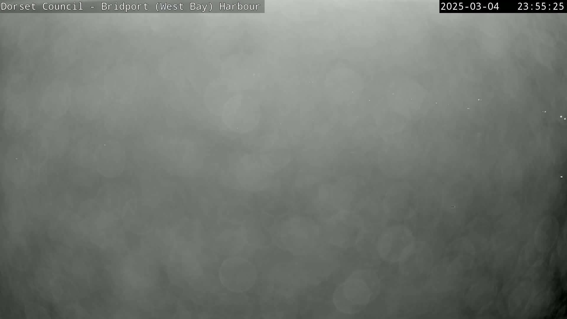 A hazy, gray scene is visible, possibly taken at night or in low-light conditions.