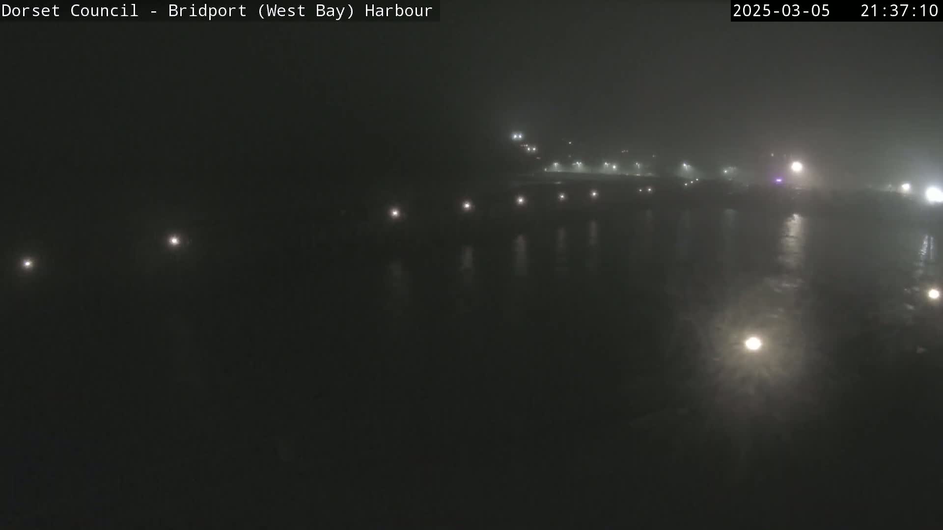 A foggy nighttime scene shows a dark body of water reflecting a line of lights on the far shore.