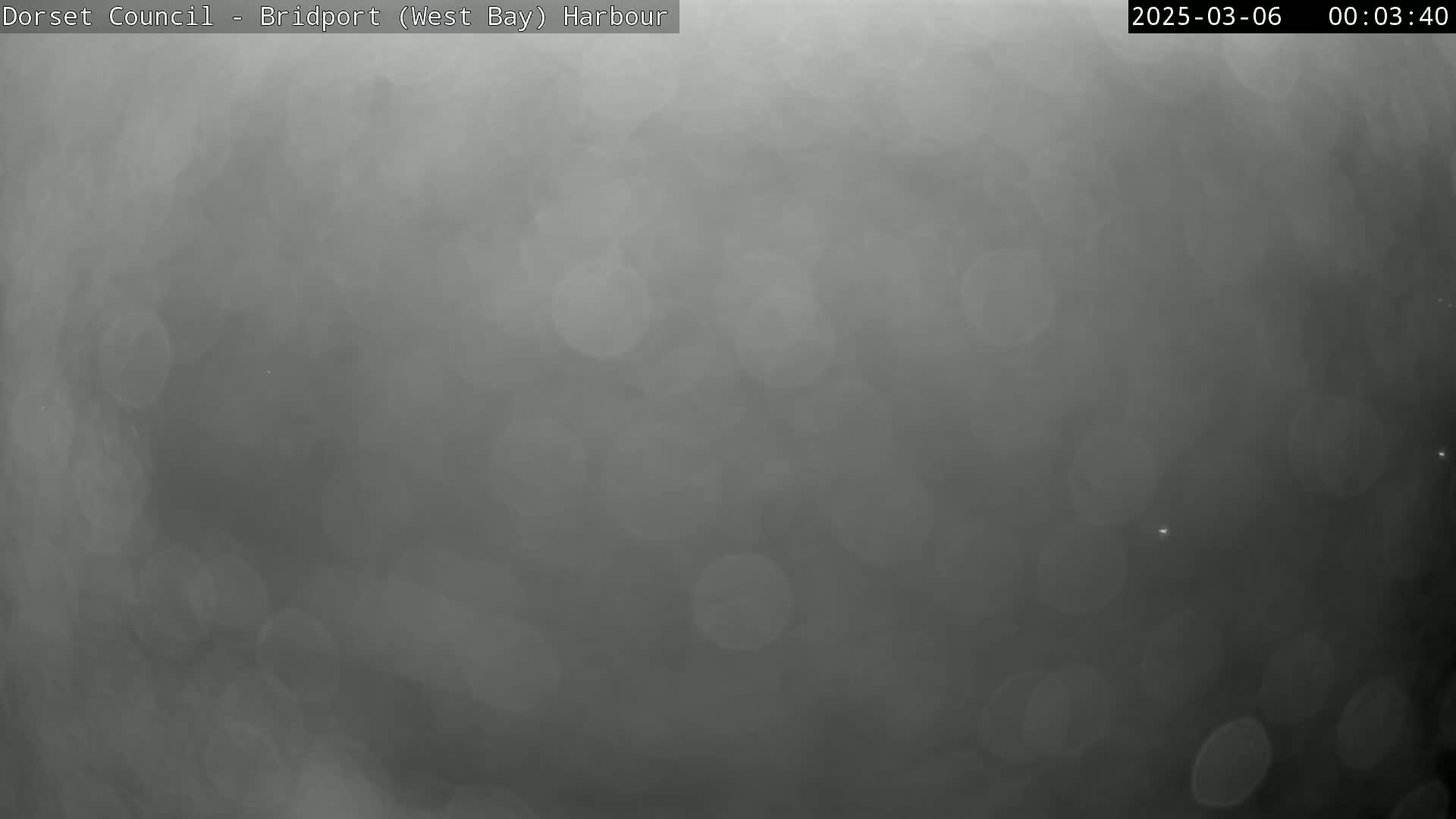 A blurry, gray image shows a foggy or misty outdoor scene at night.