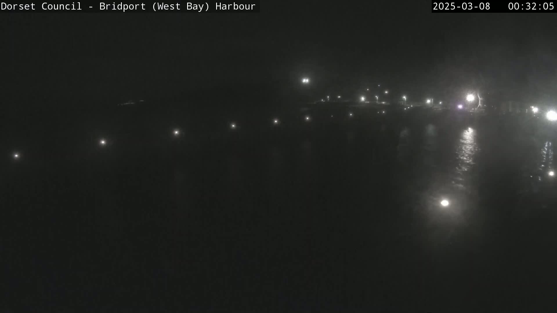 A nighttime harbor scene shows a dark body of water reflecting dim lights from across a seemingly foggy shore.