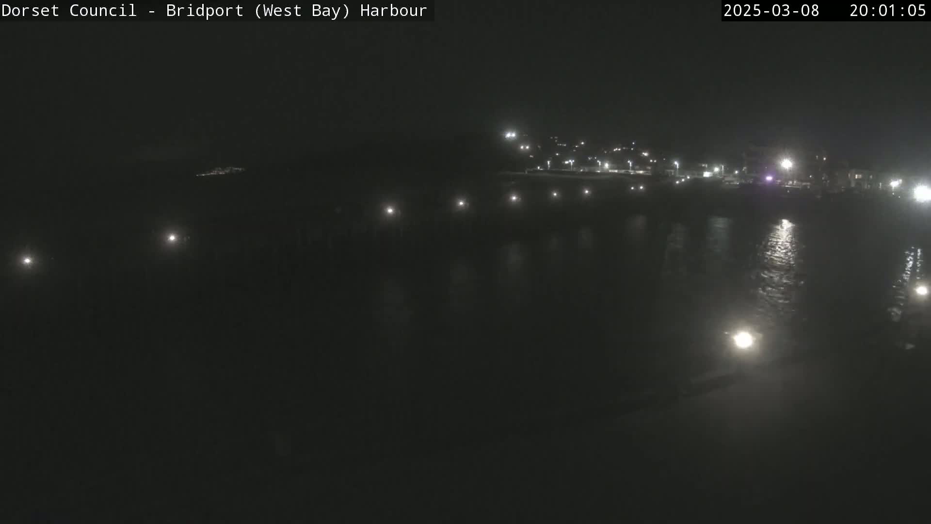 A nighttime view of a harbor with lights illuminating the water and a distant shoreline.