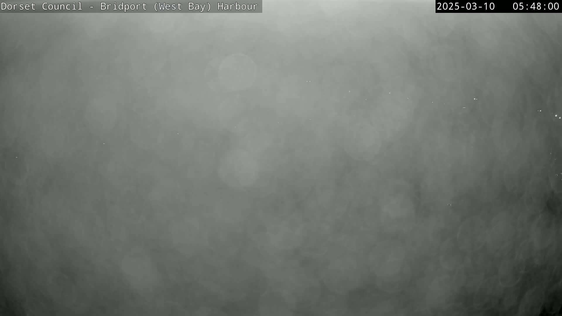 A very foggy or misty scene is shown, obscuring any details.
