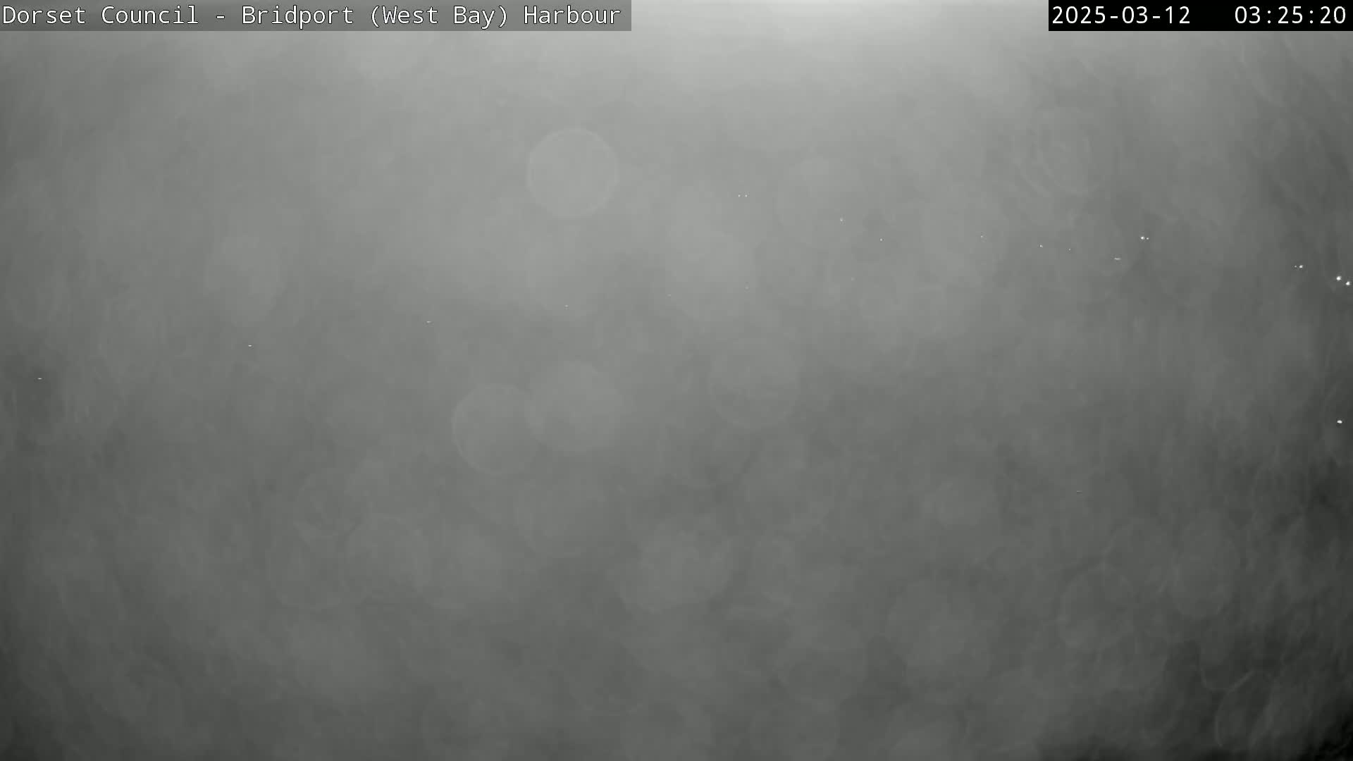 A hazy, gray scene is visible, likely due to fog or low-lying clouds.