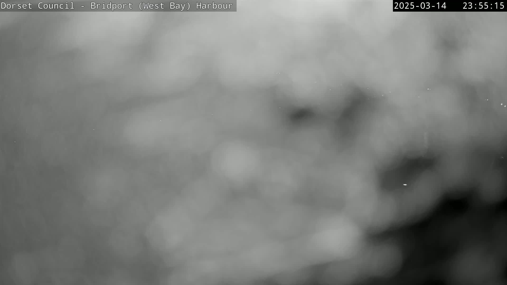 A blurry, grayscale image shows a foggy or misty scene at night.