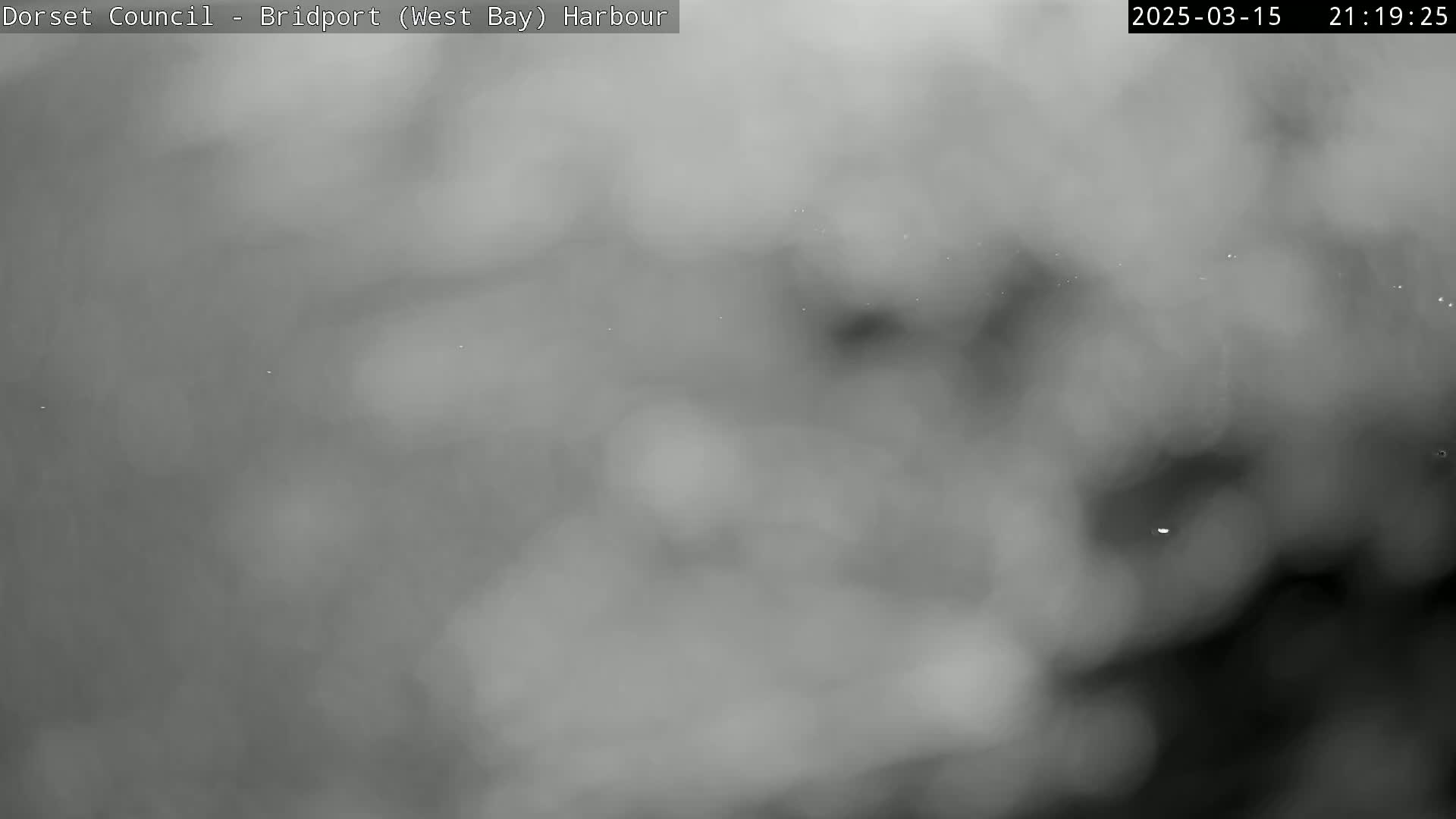 A blurry, grayscale image shows a foggy or hazy scene at night.