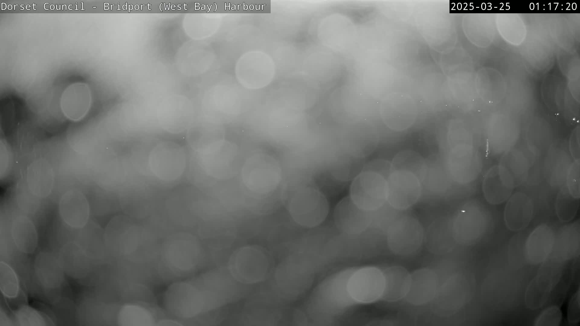 A blurry, out-of-focus grayscale image shows a rainy scene with numerous bright, circular bokeh shapes.