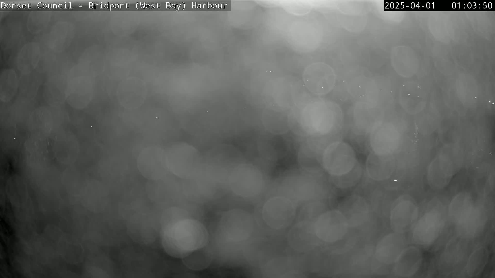 A blurry, out-of-focus nighttime image shows a dark, possibly rainy or foggy, scene with indistinct lights in the distance.