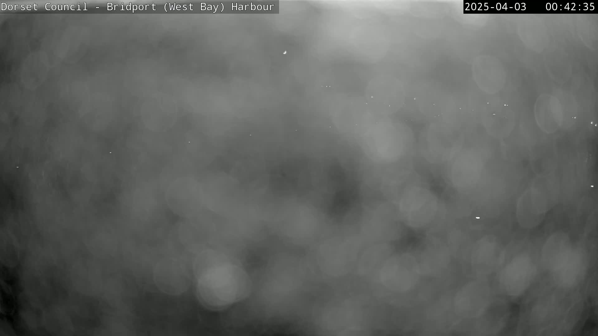 A blurry, dark gray image shows a hazy or foggy night scene with a few faint lights visible in the distance.
