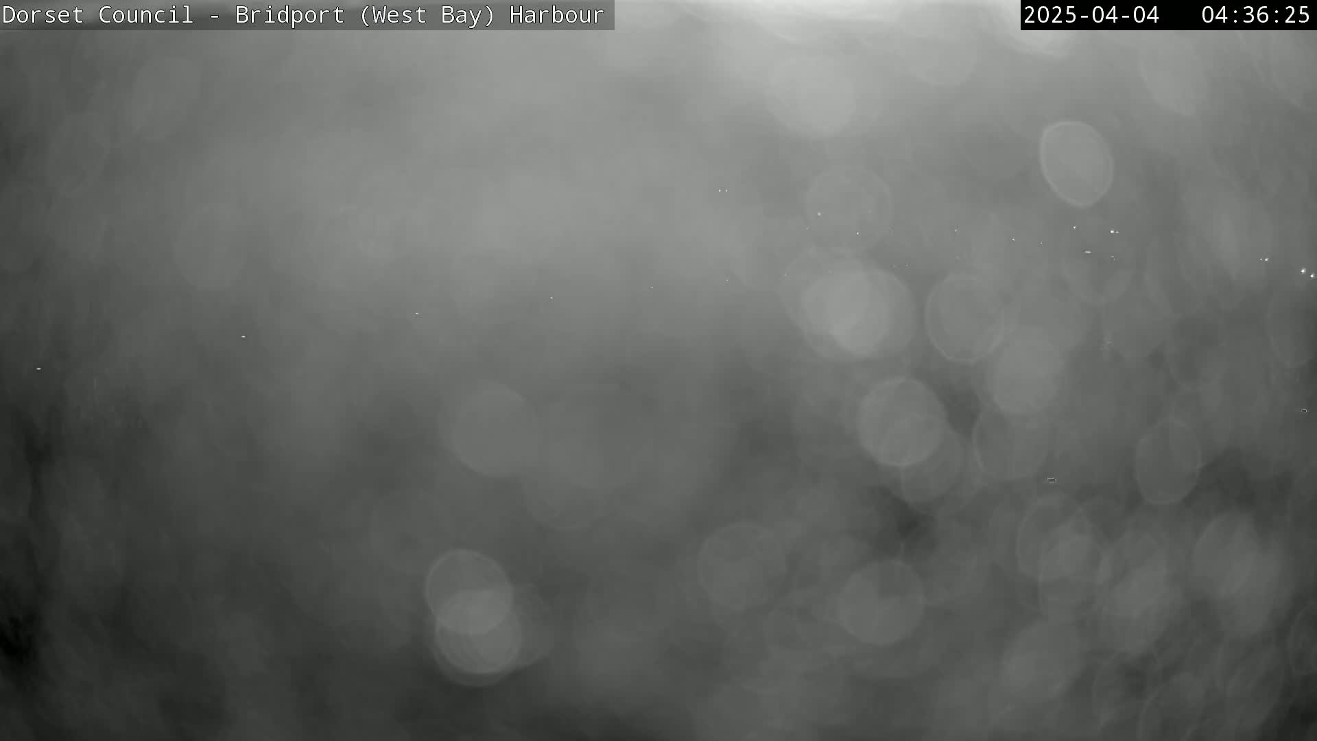 A blurry, grayscale image shows an overcast, possibly rainy, outdoor scene with indistinct shapes and light bokeh.