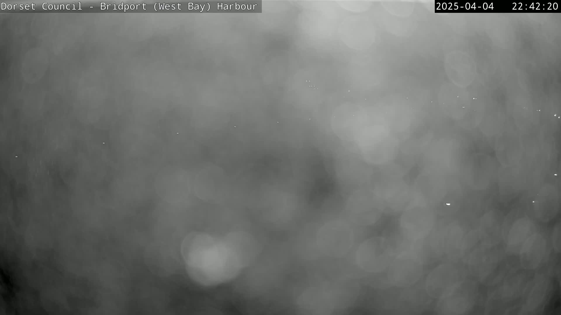 A blurry, grayscale image shows a foggy or misty night scene with a few small, distant lights visible.