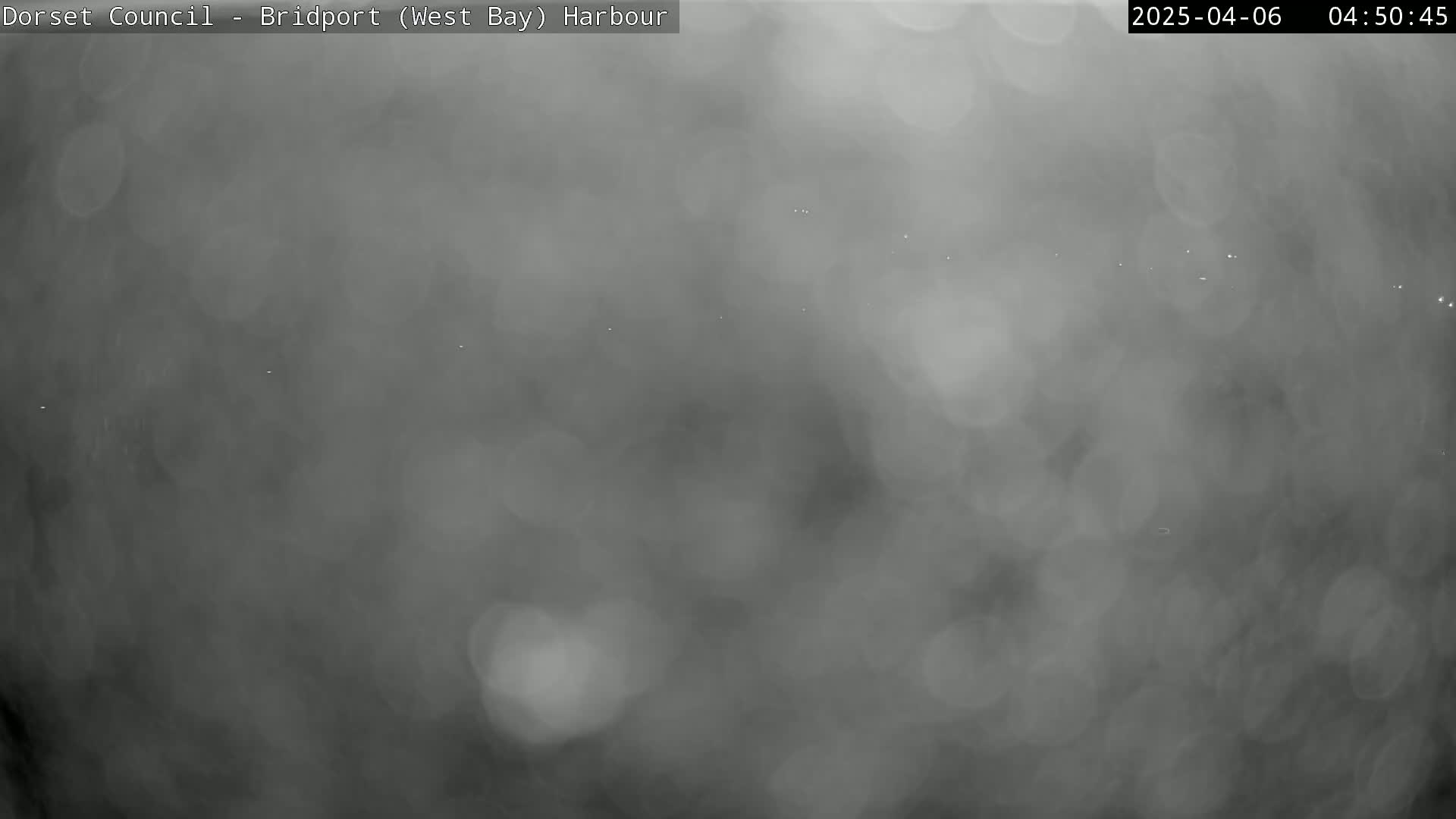A blurry, gray, hazy outdoor scene is visible, possibly fog or mist.