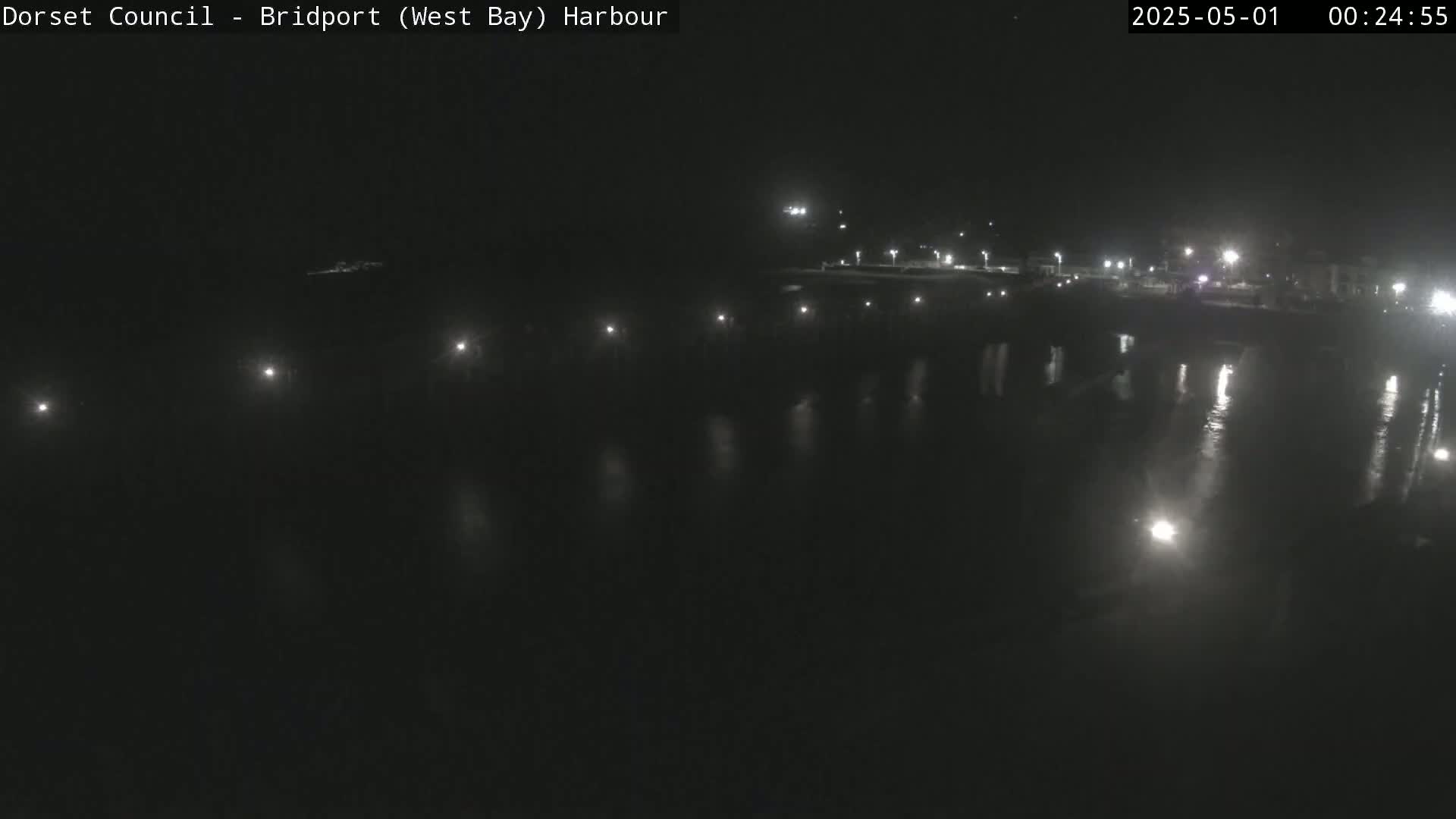 A nighttime harbor scene shows a dark body of water reflecting the lights from a distant shore.