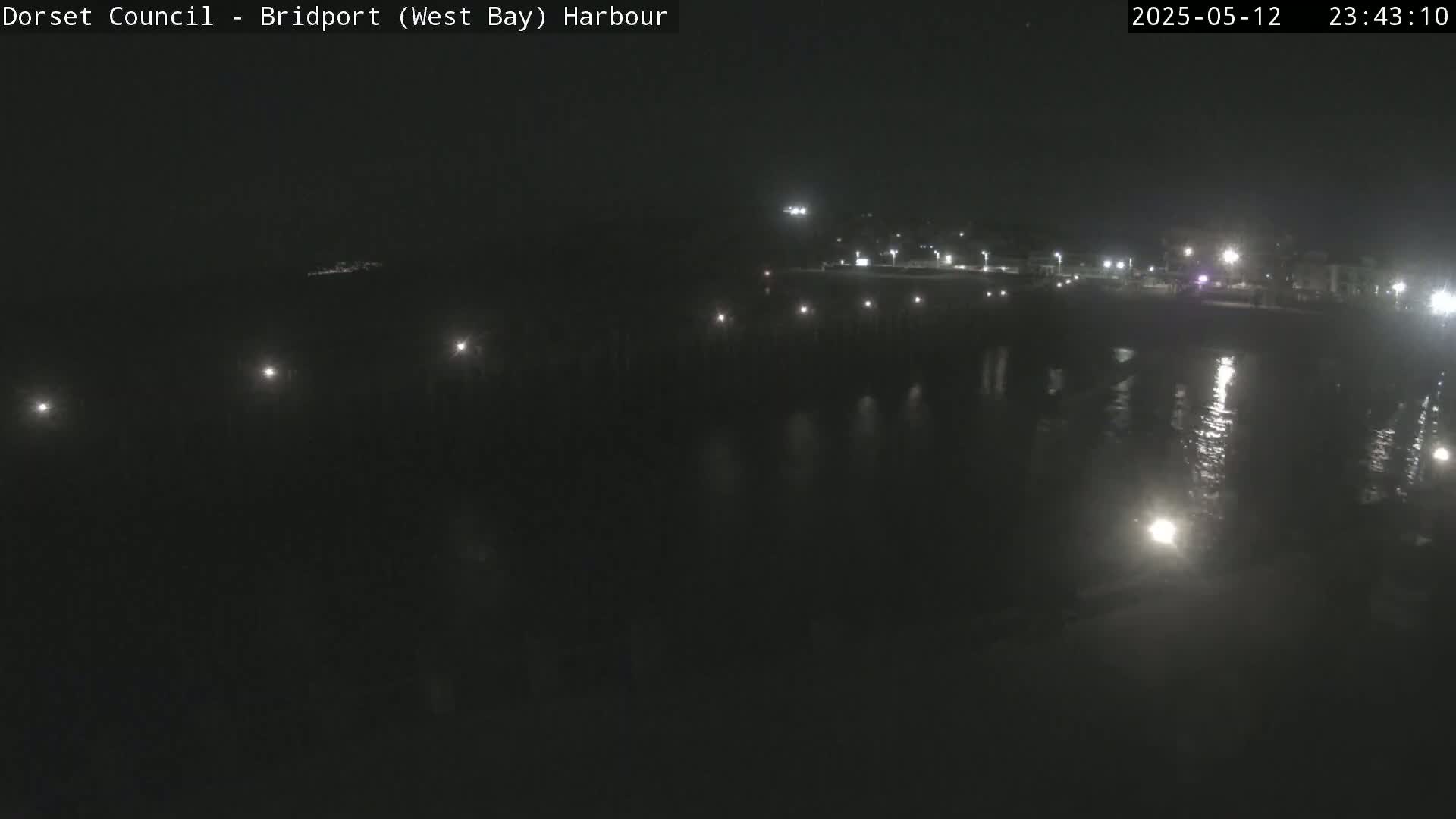 A nighttime view of a dark harbor with lights illuminating the water and a shoreline.
