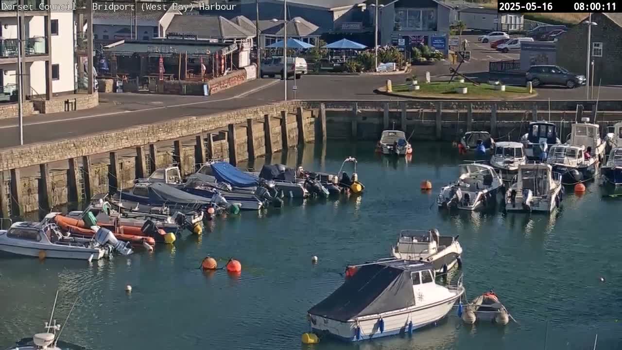 Numerous boats are docked in a harbor on a sunny day.