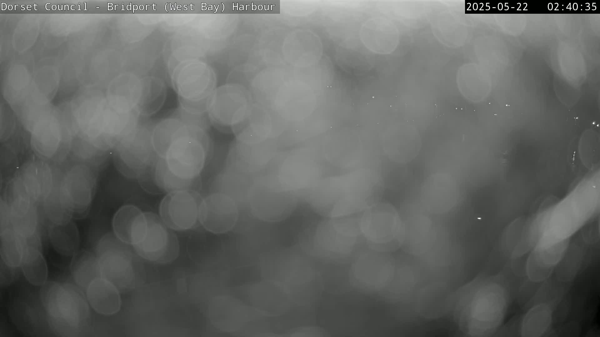 A blurry, out-of-focus nighttime image shows a hazy or foggy scene with indistinct lights in the distance.