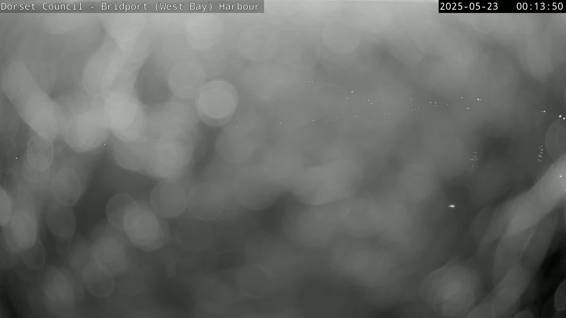 A blurry, grayscale image shows a hazy, nighttime scene with indistinct lights in the distance.