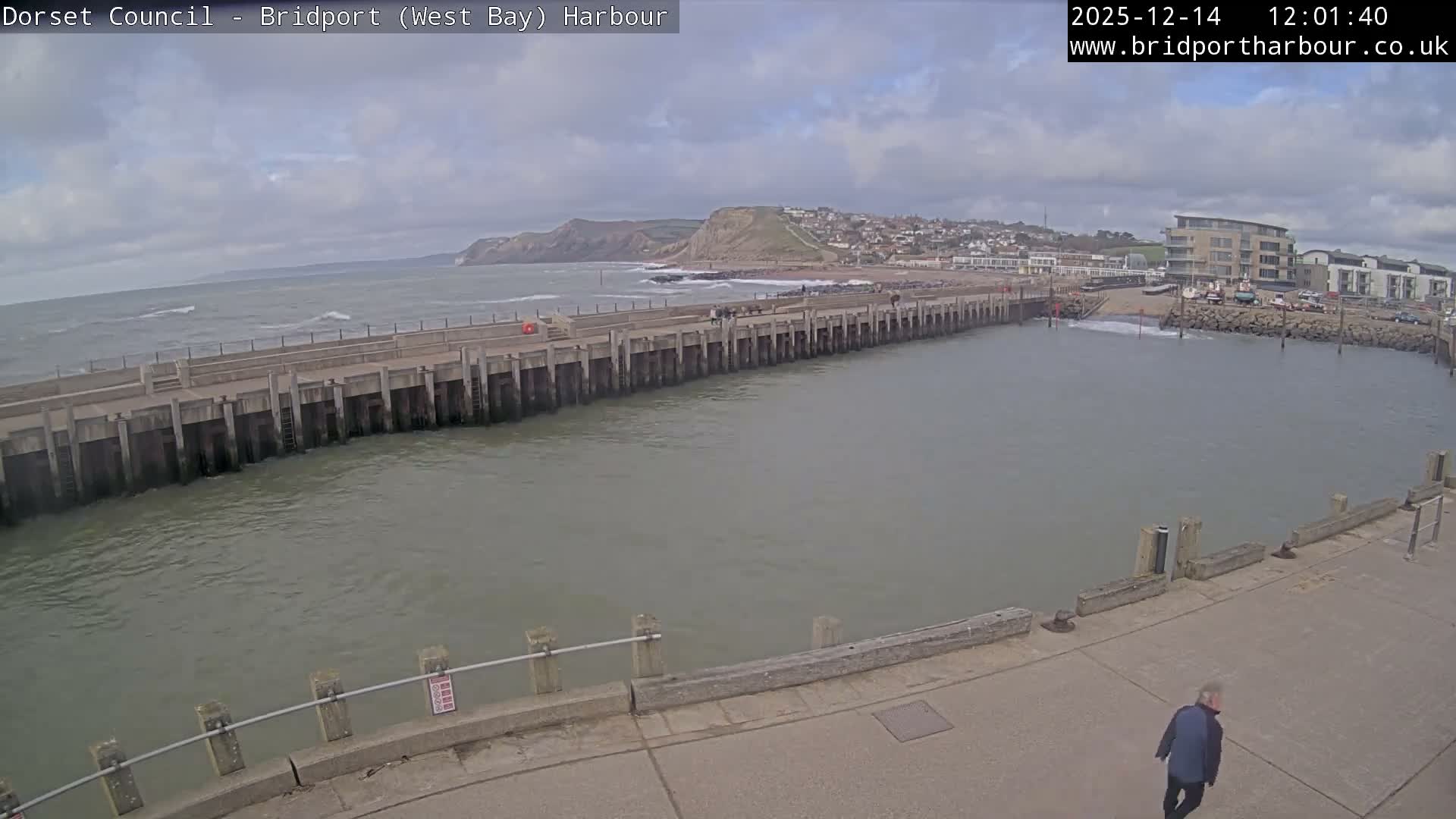 An overcast view of a coastal harbour features a long pier extending into choppy grey water, with a distant town built into hills and cliffs, and modern buildings lining the right side of the frame.