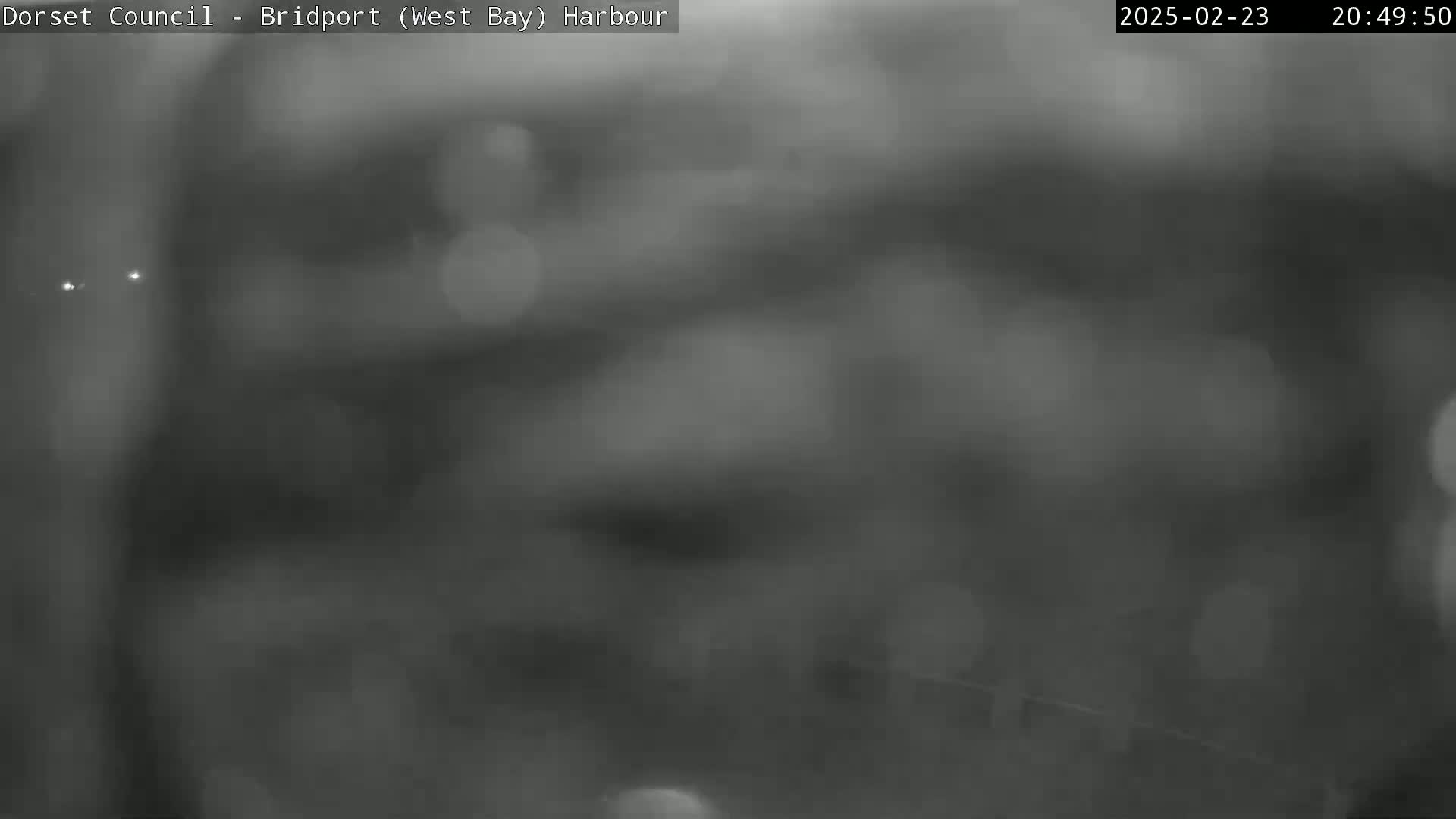 A blurry, gray nighttime image shows an indistinct harbor scene.