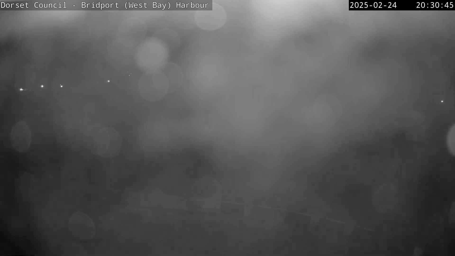A blurry, dark nighttime image shows a hazy or foggy harbor scene with a few distant lights visible.