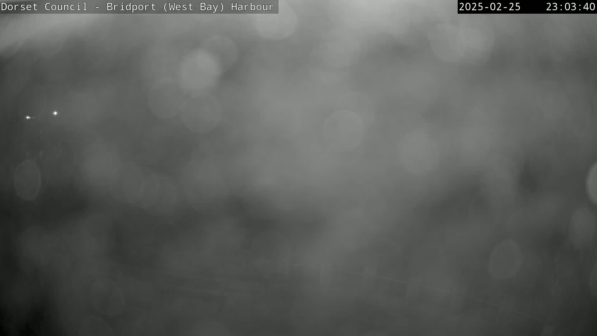 A blurry, dark gray image shows a nighttime scene with heavy fog or mist obscuring visibility.